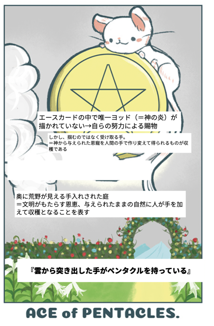 第27話 小アルカナを学ぼう その２ エース | むぎのタロット